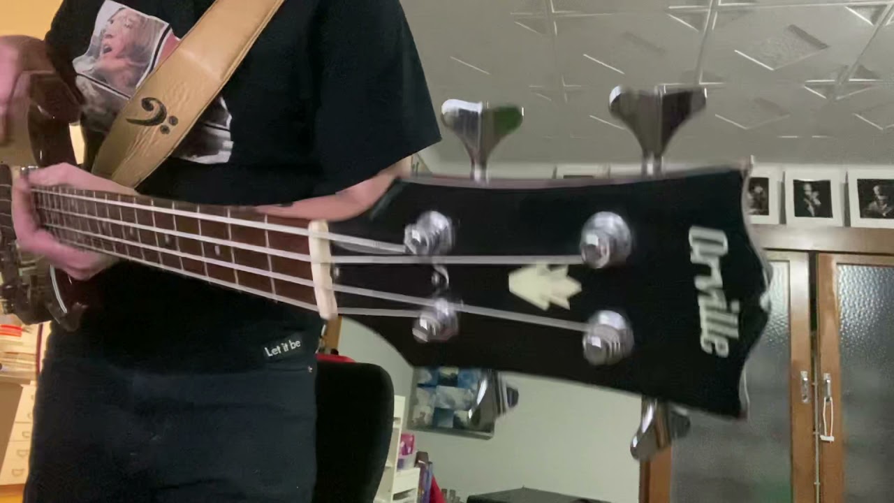 FREE - The Stealer Bass cover