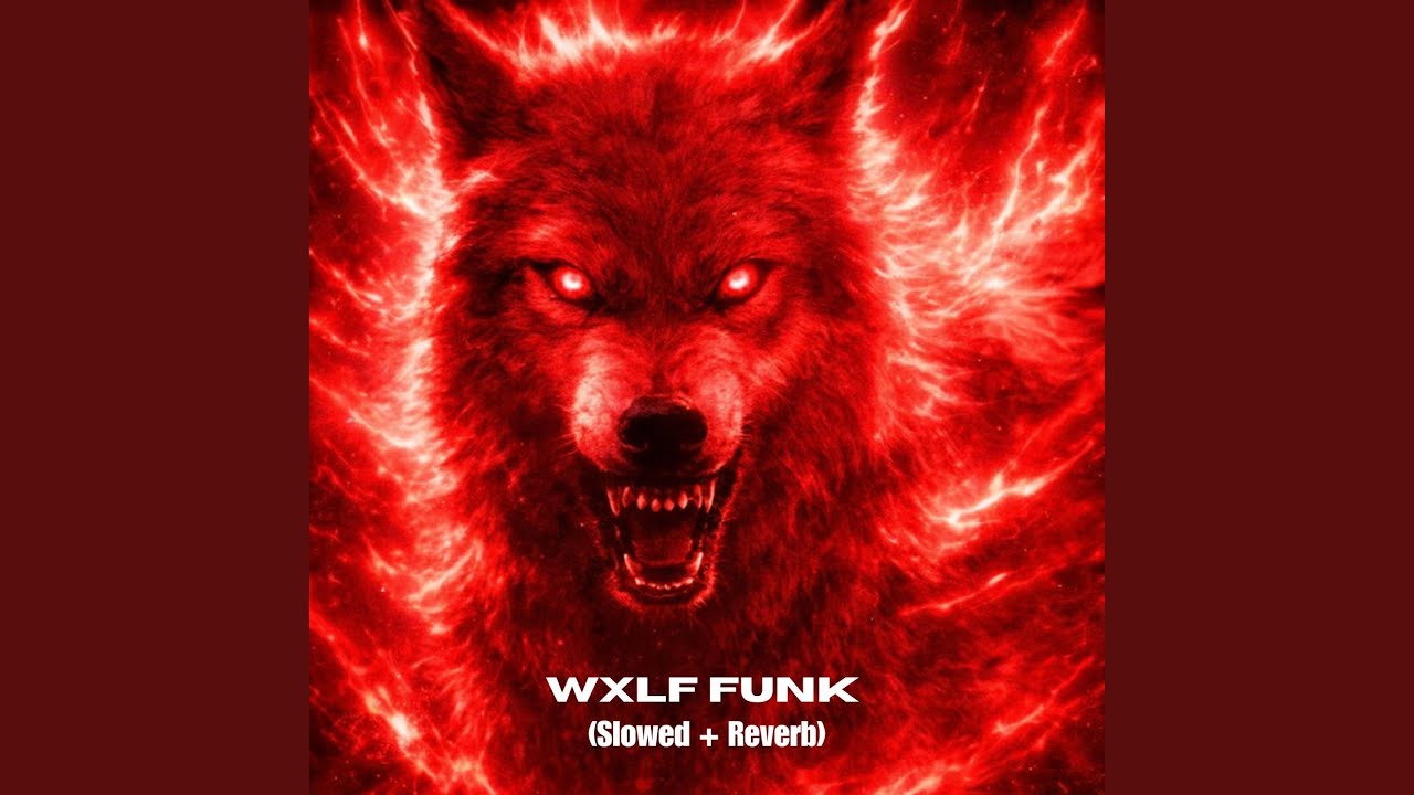 WXLF FUNK (Slowed + Reverb)