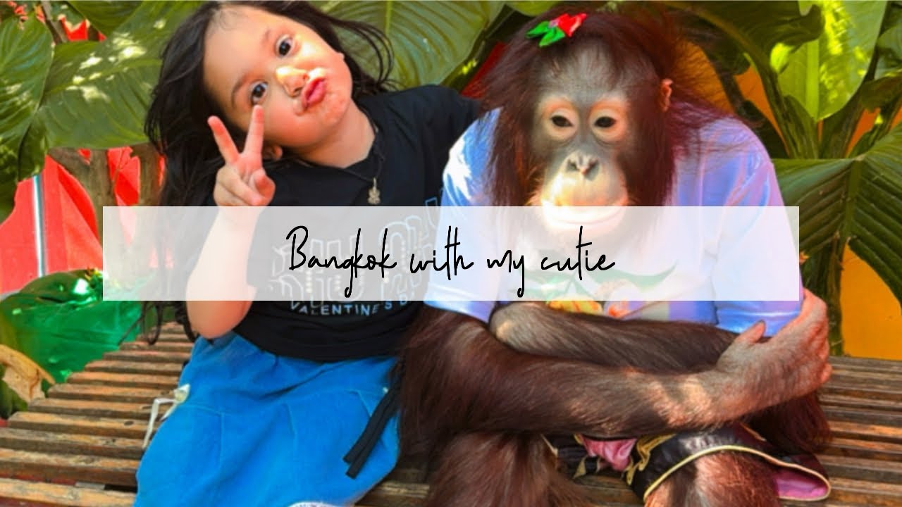 Thinking of bangkok  with kids? Watch this first 