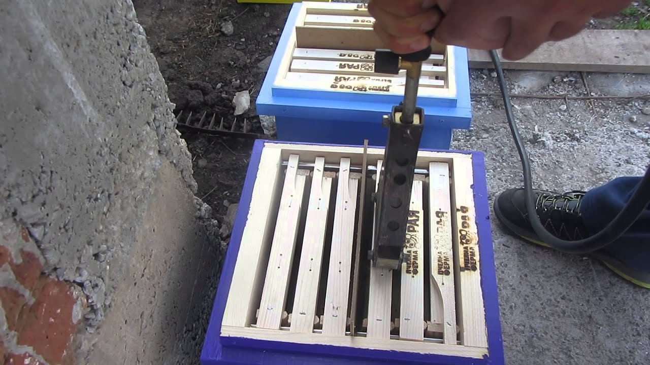Branding queen breeding nucleuses with fire branding iron
