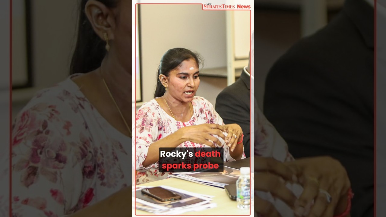 Rocky's death sparks probe into dog catching SOP