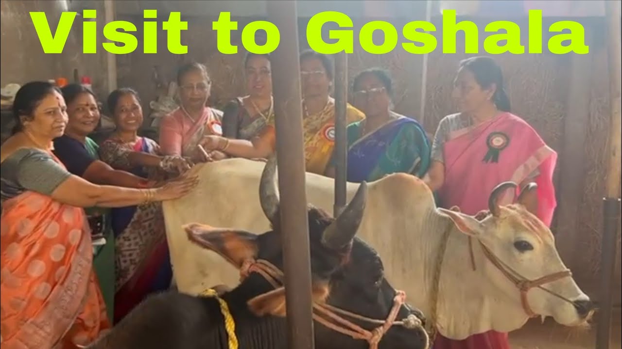 Visit to Sri Lalitha Goshala    🐄🐄 🤗