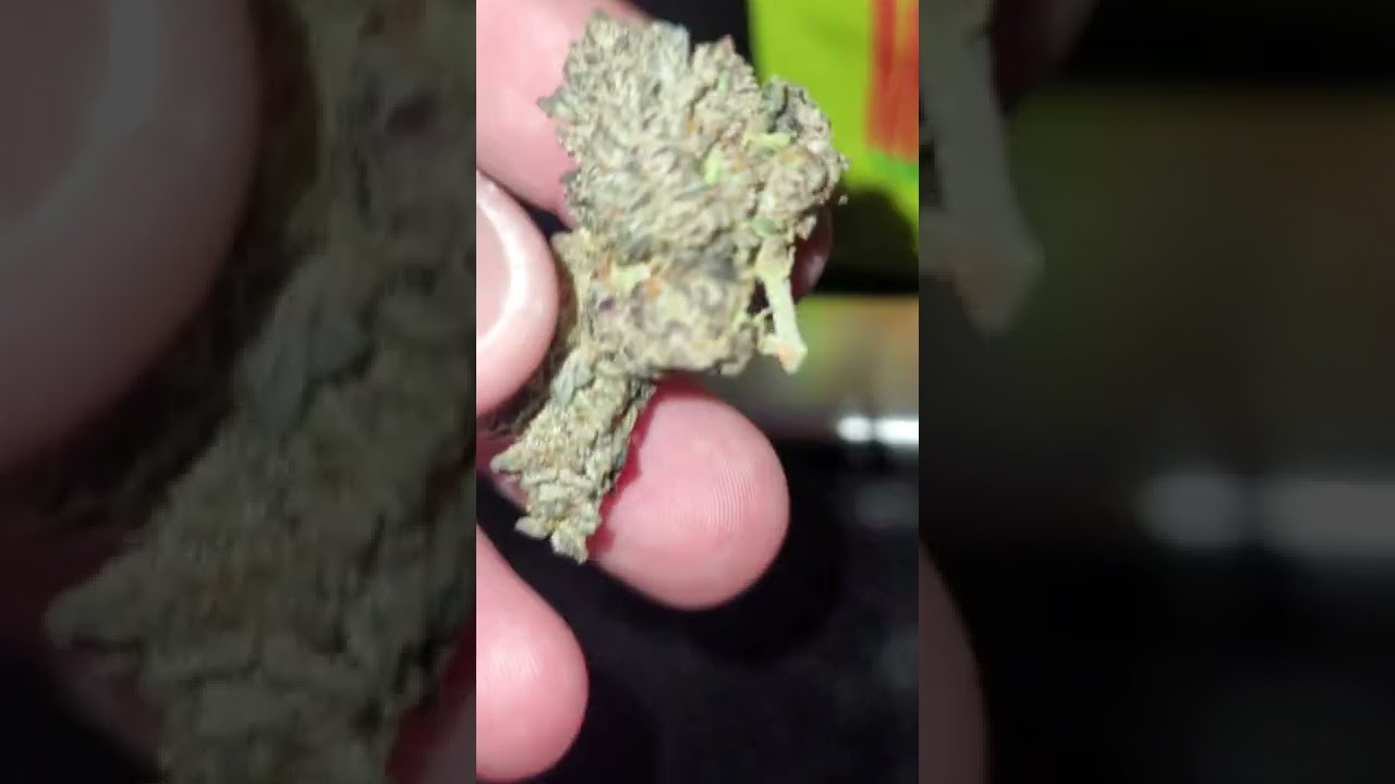 😈😈🍪🍪🍪THAI MANGO COOKIES INDOOR STRAIN 🥭🥭🥭😈😈