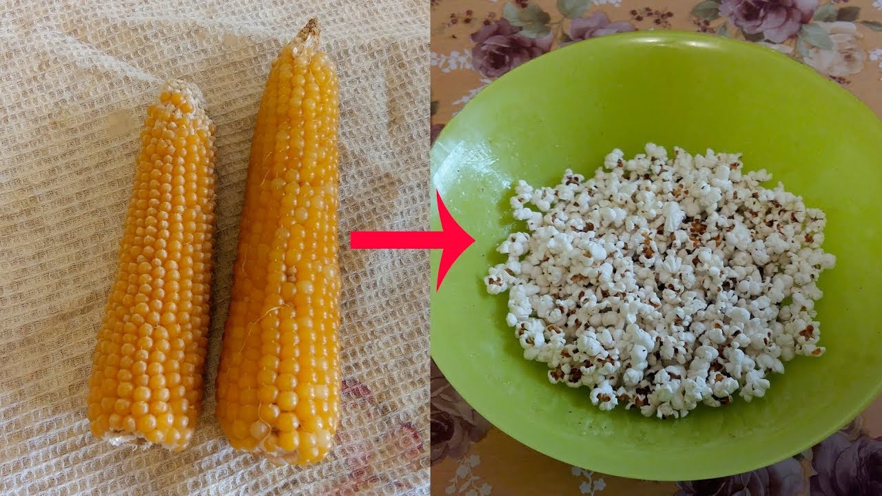 Домашний попкорн из кукурузы