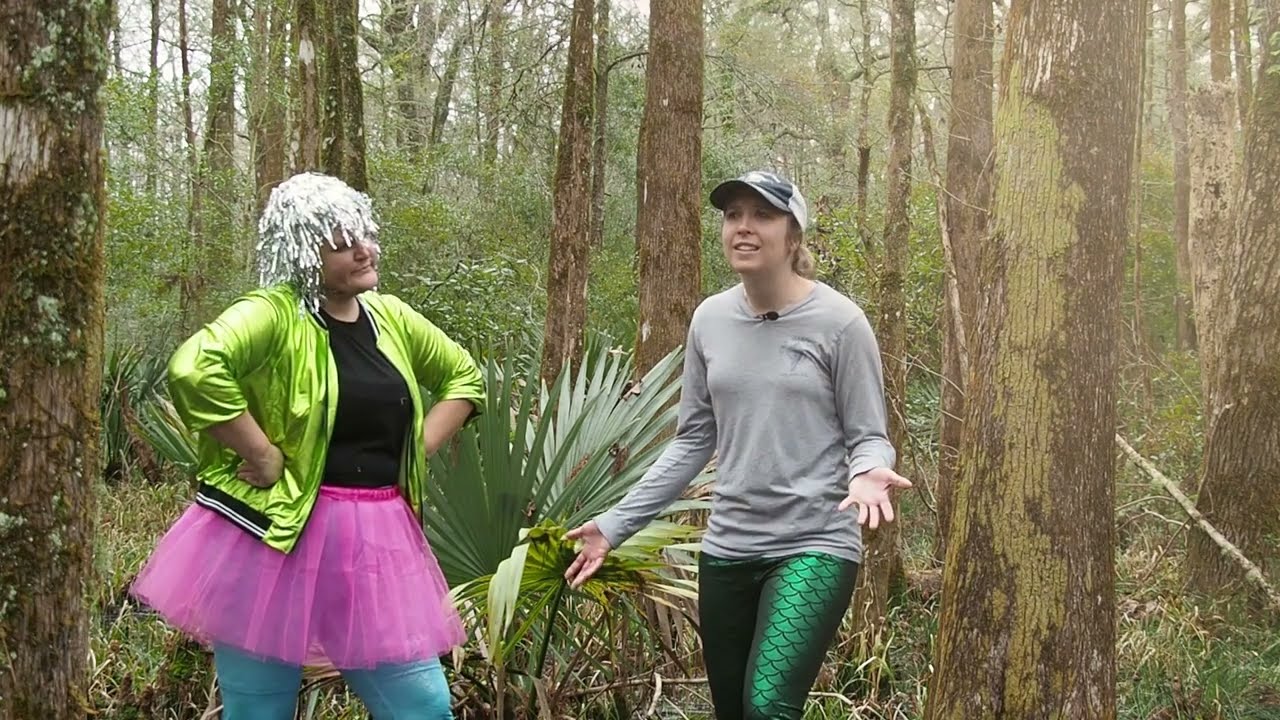 Do Ya Like Swamps