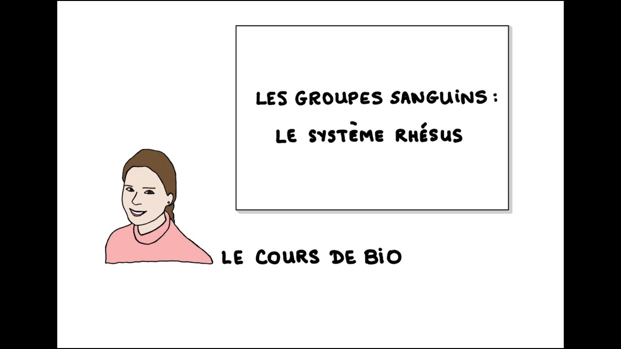Les groupes sanguins : le système Rhésus