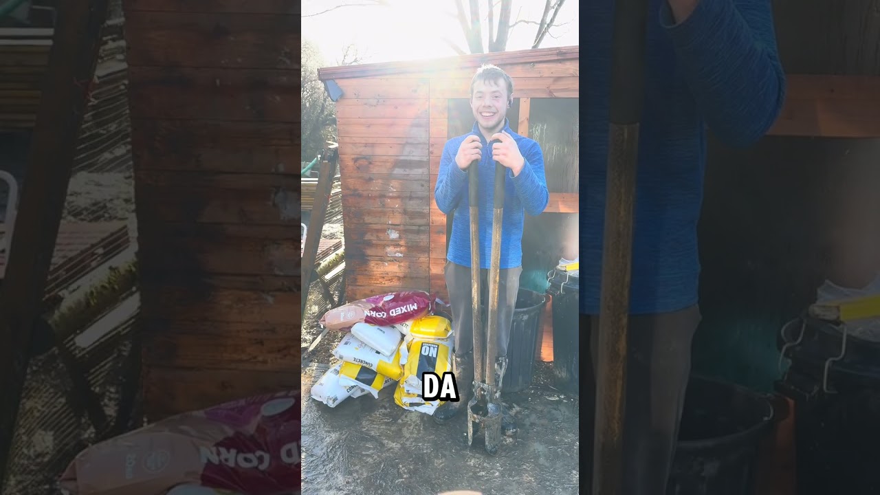 Saving the piggies in this weeks episode of Phoenix  Farmyard.  #animals #clarksonsfarm #farmlife 