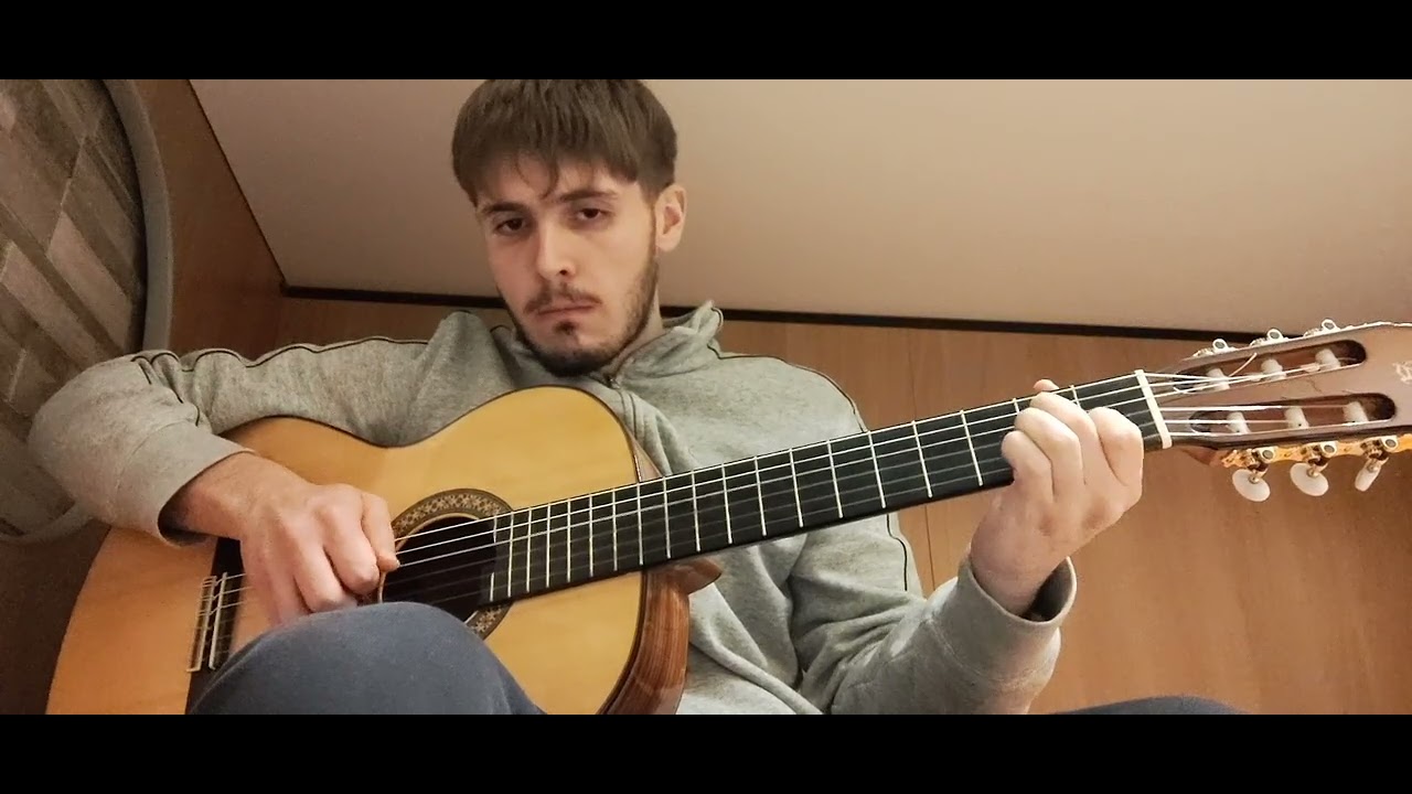 Minuetto Op 21 n.12   Matteo Carcassi