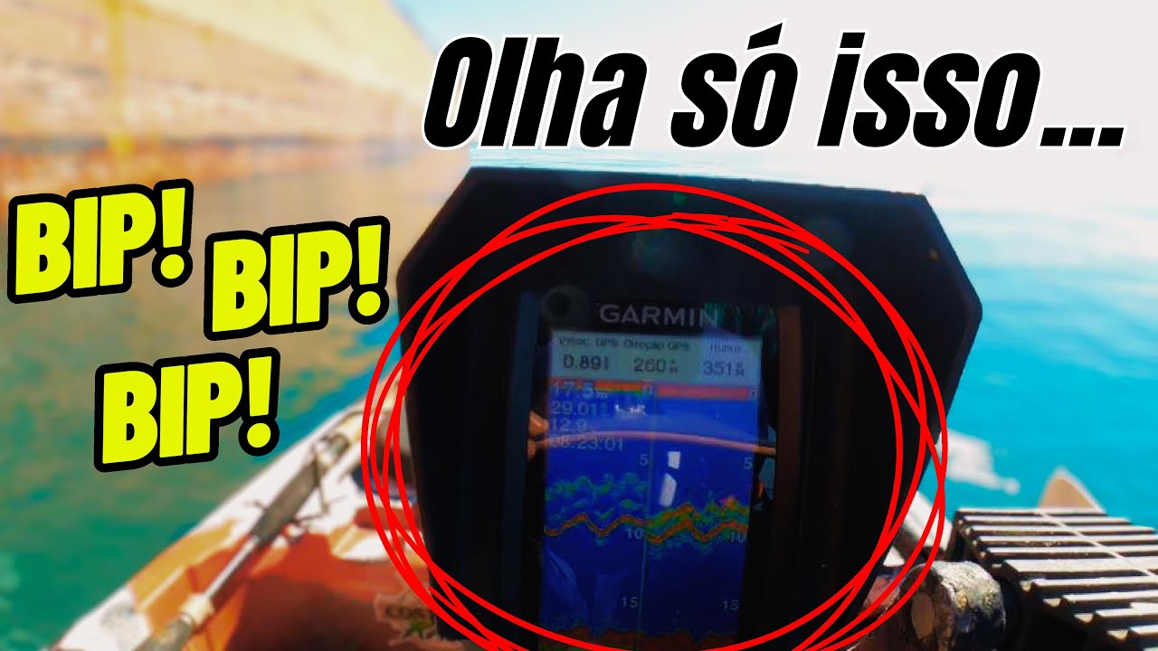 ERA SÓ JOGAR A ISCA QUE O PEIXE PEGAVA | PESCARIA COM SONAR