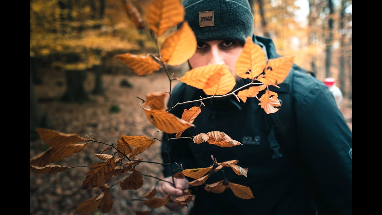 HERBST FOTOGRAFIEREN die letzte Chance!
