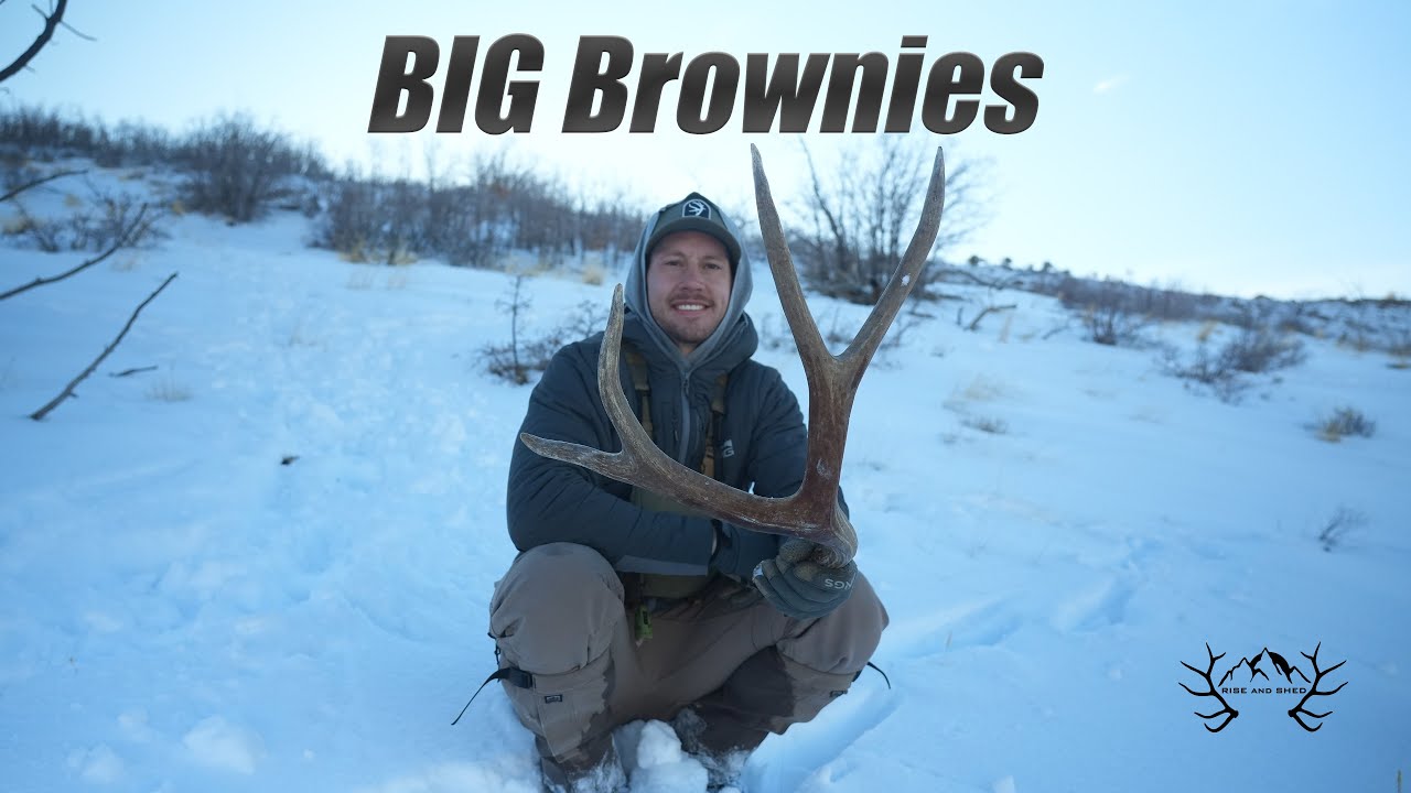 BIG BROWNIES: MULE DEER SHED HUNTING 2025