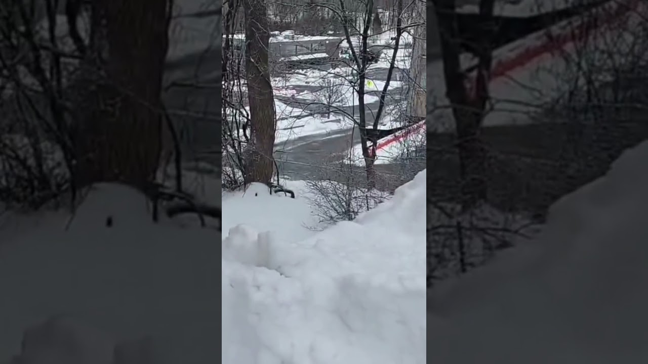 3/2/26 Uploaded Short Video Today.