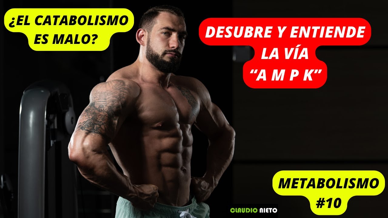 METABOLISMO 10: AMPK - IRISINA, el botón de emergencia que transforma tu metabolismo (y quema grasa)