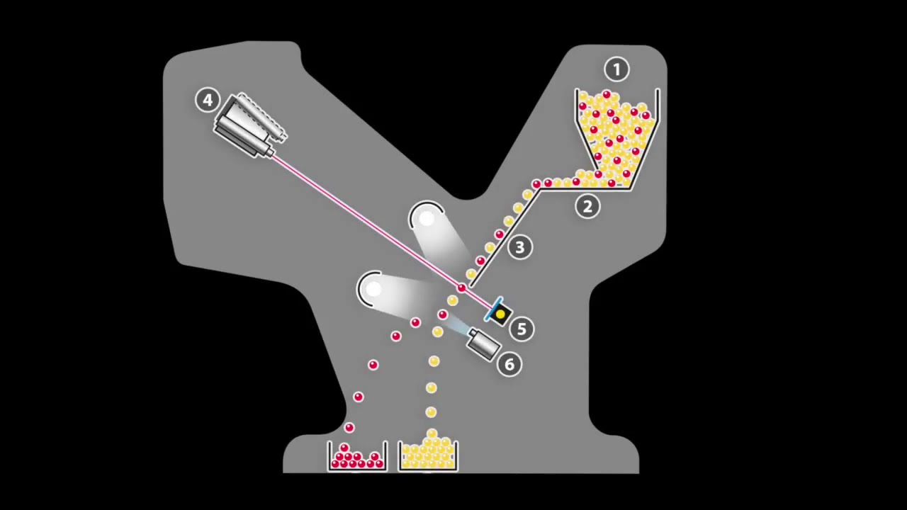 NIR Polymer Sorting - SEA HYPERSORT