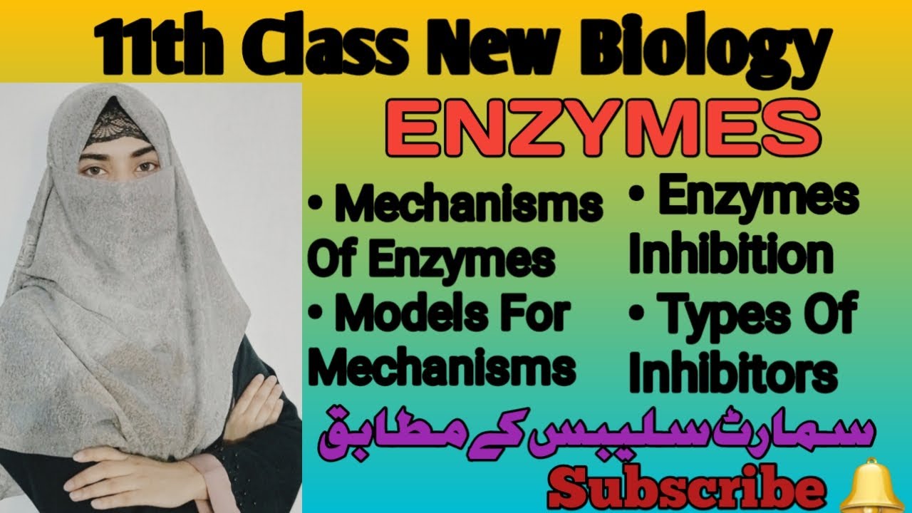 | Class 11 New Bok Biology Chapter 5 | Enzymes | Mechanisms Of Enzymes Action / Enzymes Inhibition |