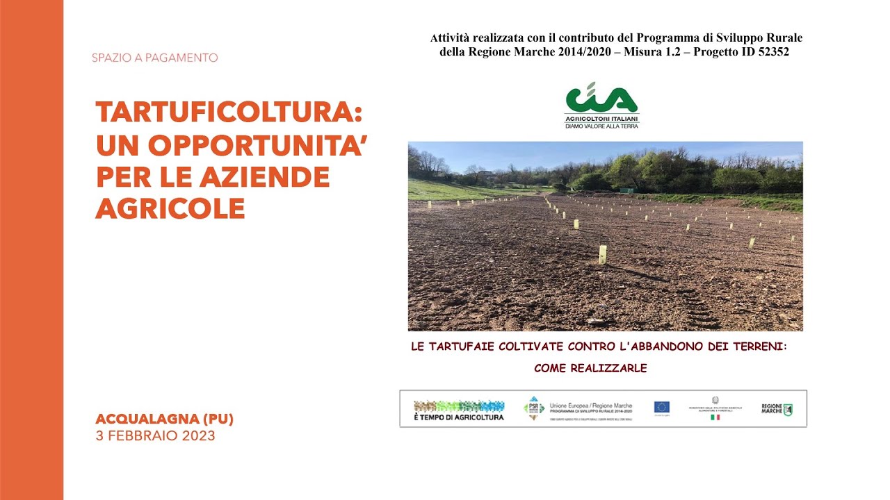 Tartuficoltura: un'opportunità per le aziende agricole - Le tartufaie contro l'abbandono dei terreni