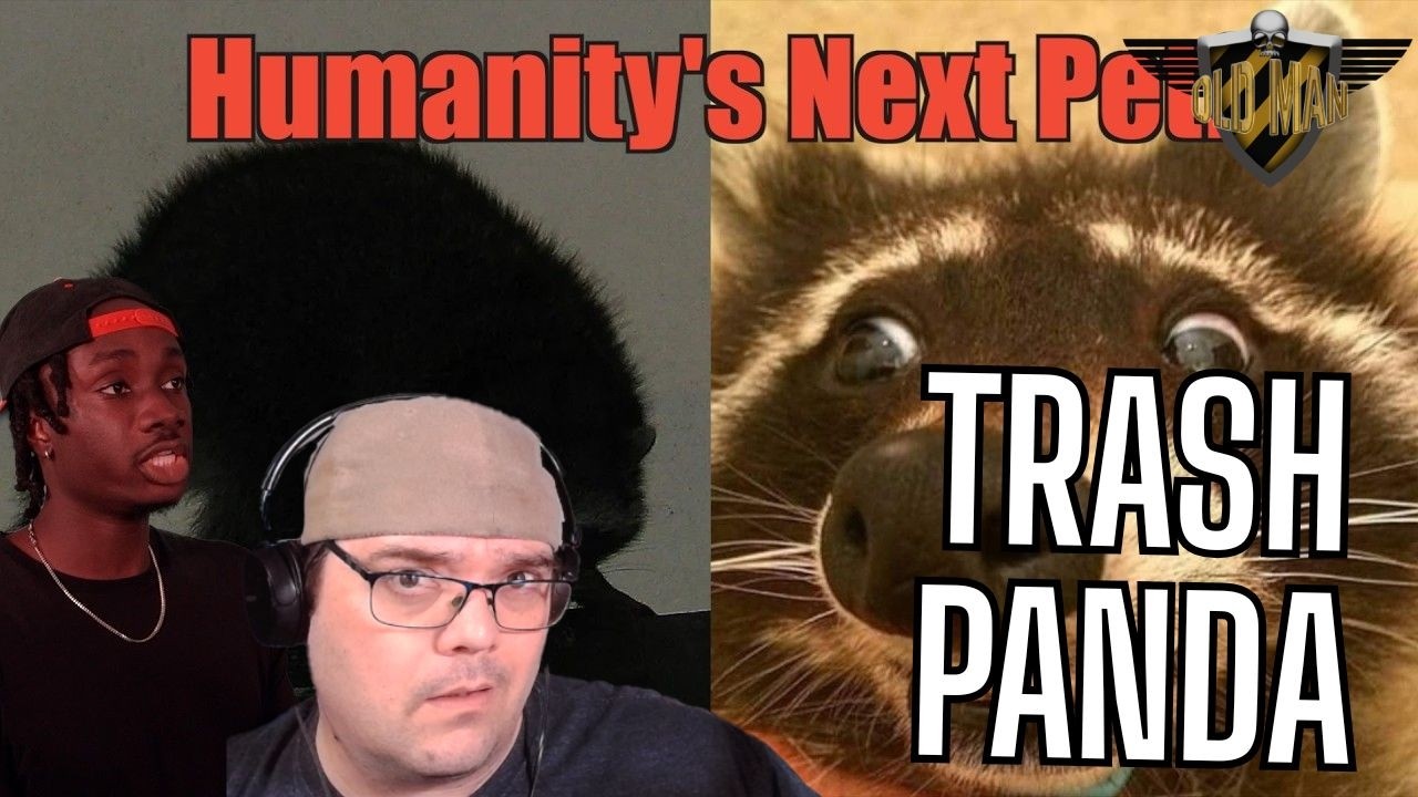 How Raccoons (Almost) Got Away With It - Reacting to Casual Geographic