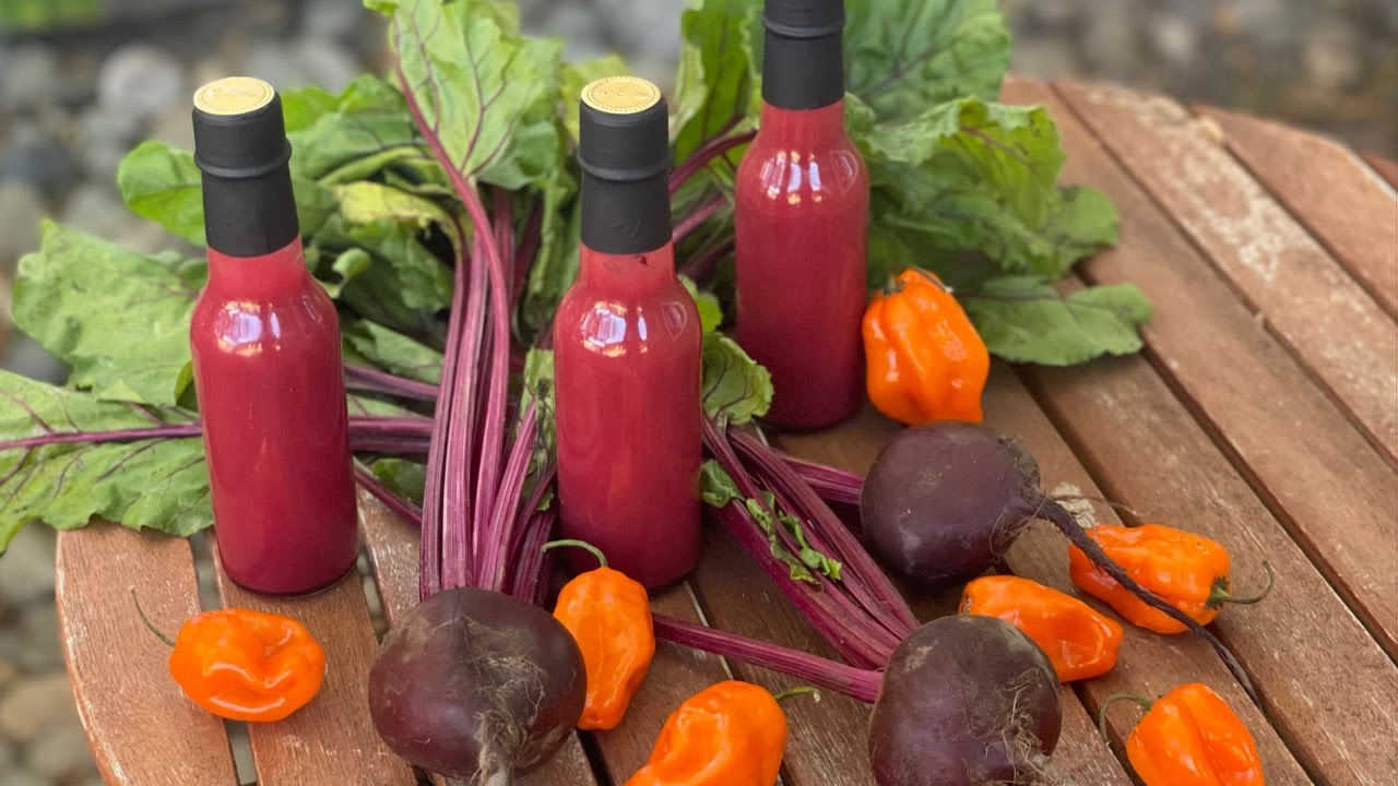 How to Make Fermented Habanero Beet Hot Sauce / Homebrew and BBQ HQ