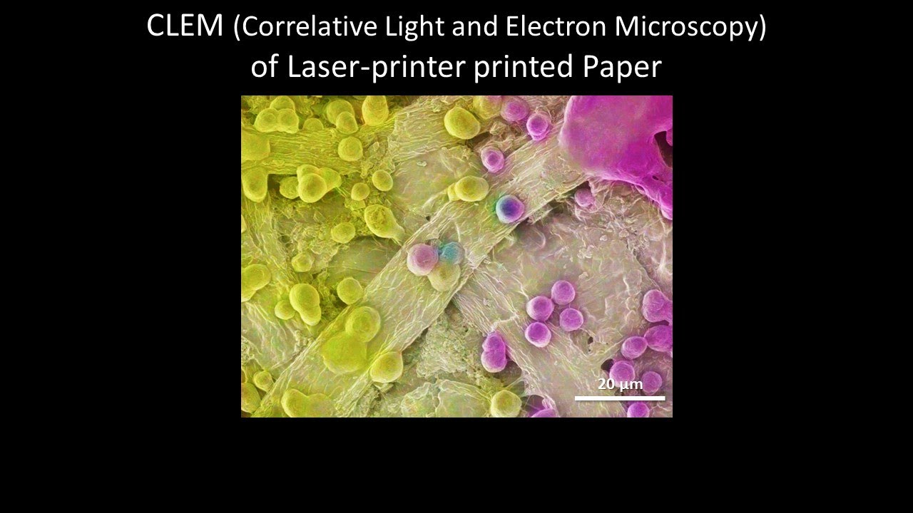 [Materials] CLEM (Correlative Light and Electron Microscopy) of Laser-printer printed Paper