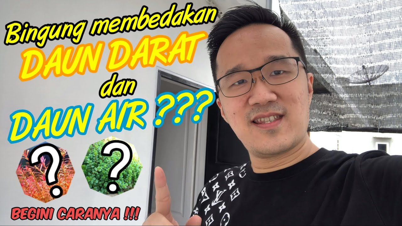 Ternyata ini loo Perbedaan tanaman aquascape yg ketika ditanam di Darat (EMERSED) & di dalam air