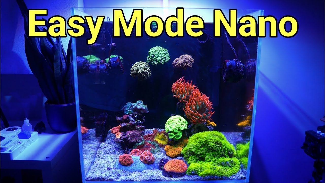 Nano Tank Maintenance Rundown (Cade Nano at 16 Months)