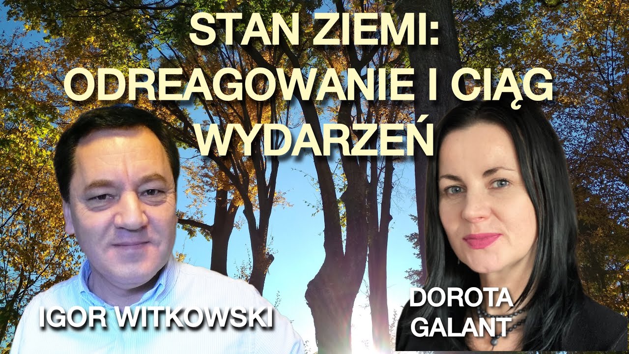 Igor Witkowski - Stan Ziemi: odreagowanie i dalszy ciąg wydarzeń