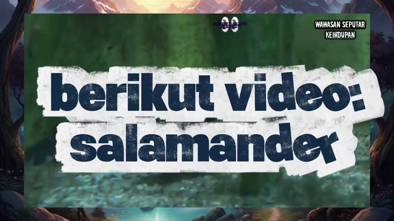 MENGENAI SALAMANDER