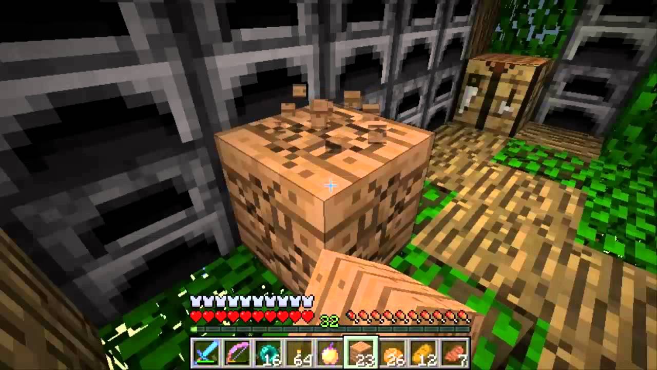 Minecraft survival : Andy's World co-op | Moarte Wither Boss-ului: Ep #80