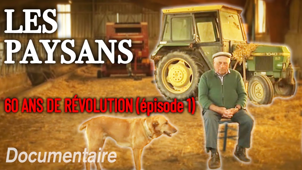 Paysans en révolte : plongée dans 60 ans de révolution agricole en France - Épisode 1 - Documentaire