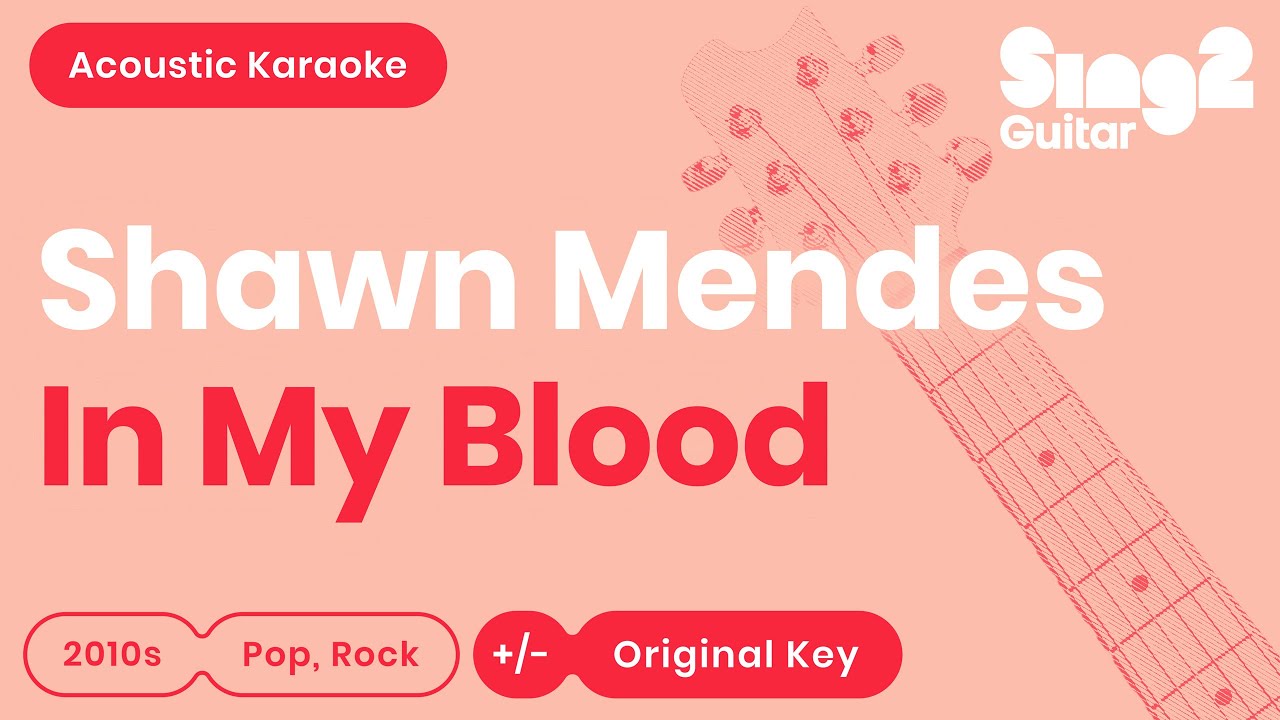 Shawn Mendes - In My Blood (Acoustic Karaoke)