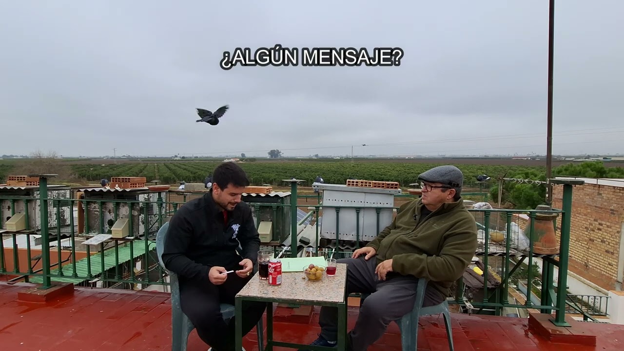 + QUE PALOMOS - CHARLANDO CON PEPE SOLÍS (TERCERA PARTE)