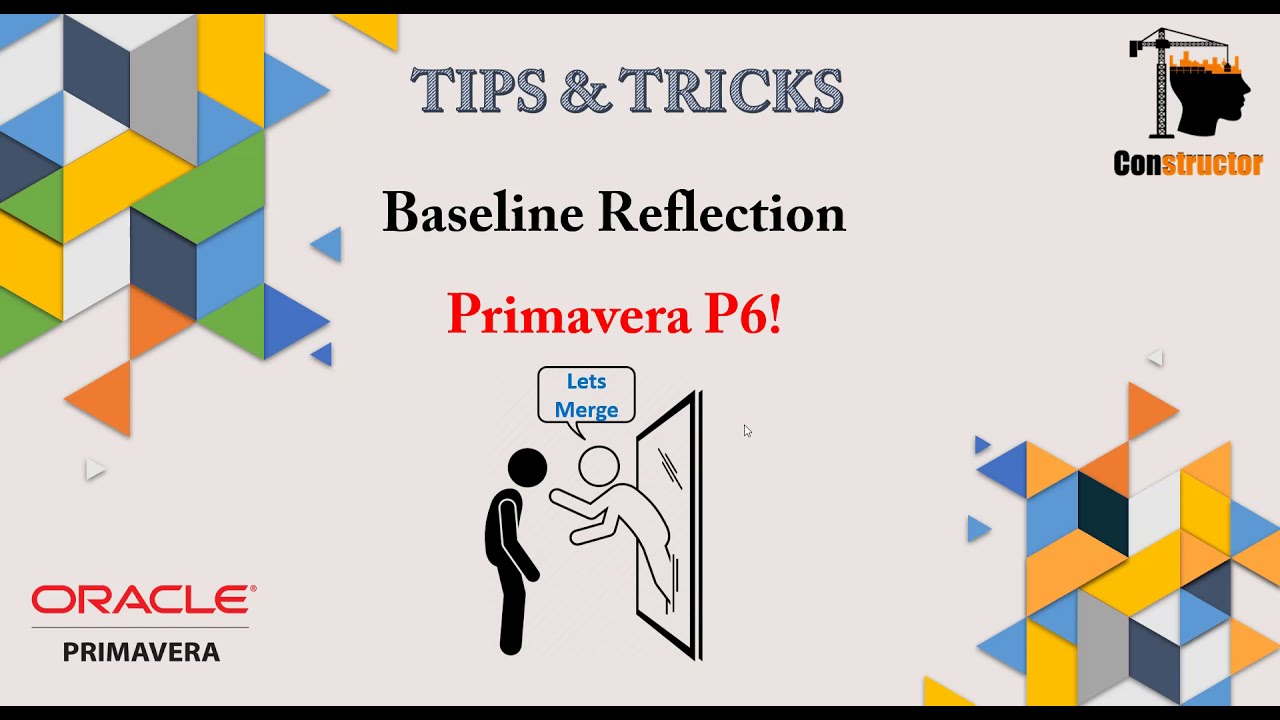How to know your edit steps in Primavera P6 using Reflection Feature !
