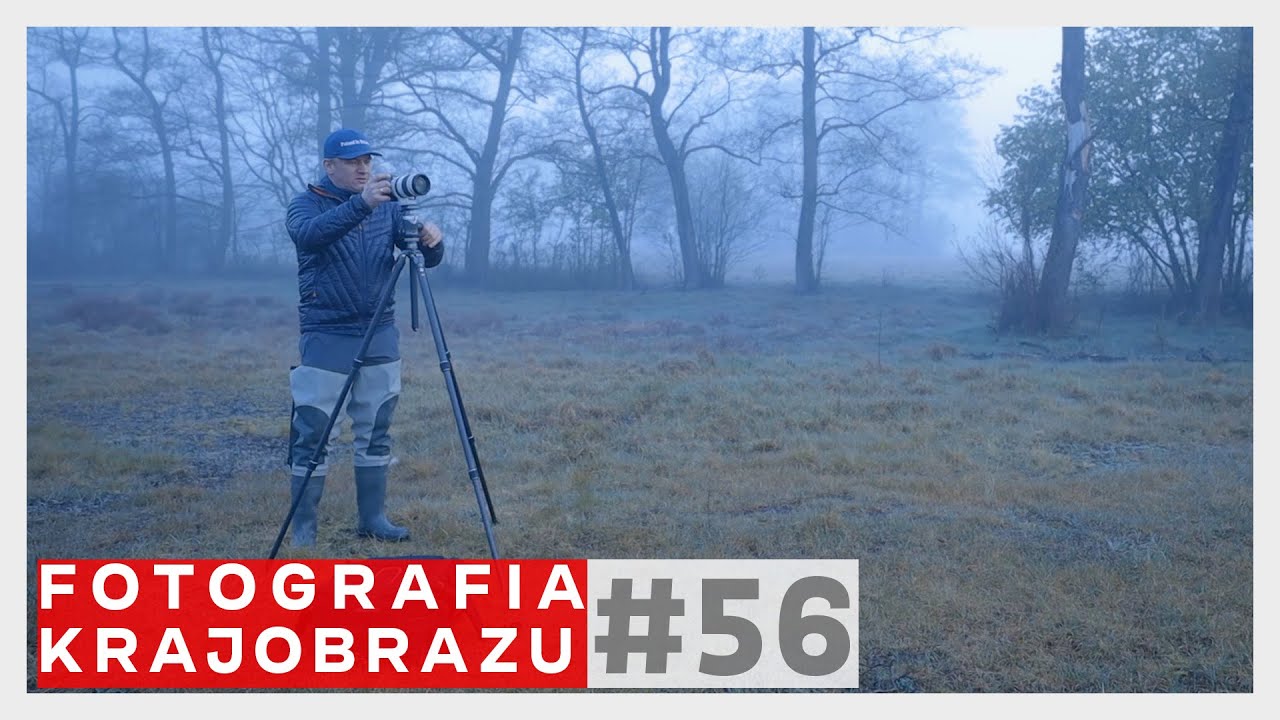 FOTOGRAFIA KRAJOBRAZU #56: CO KRYJĄ GĘSTE MGŁY W KAMPINOSIE ? NOWA DĄBROWA.