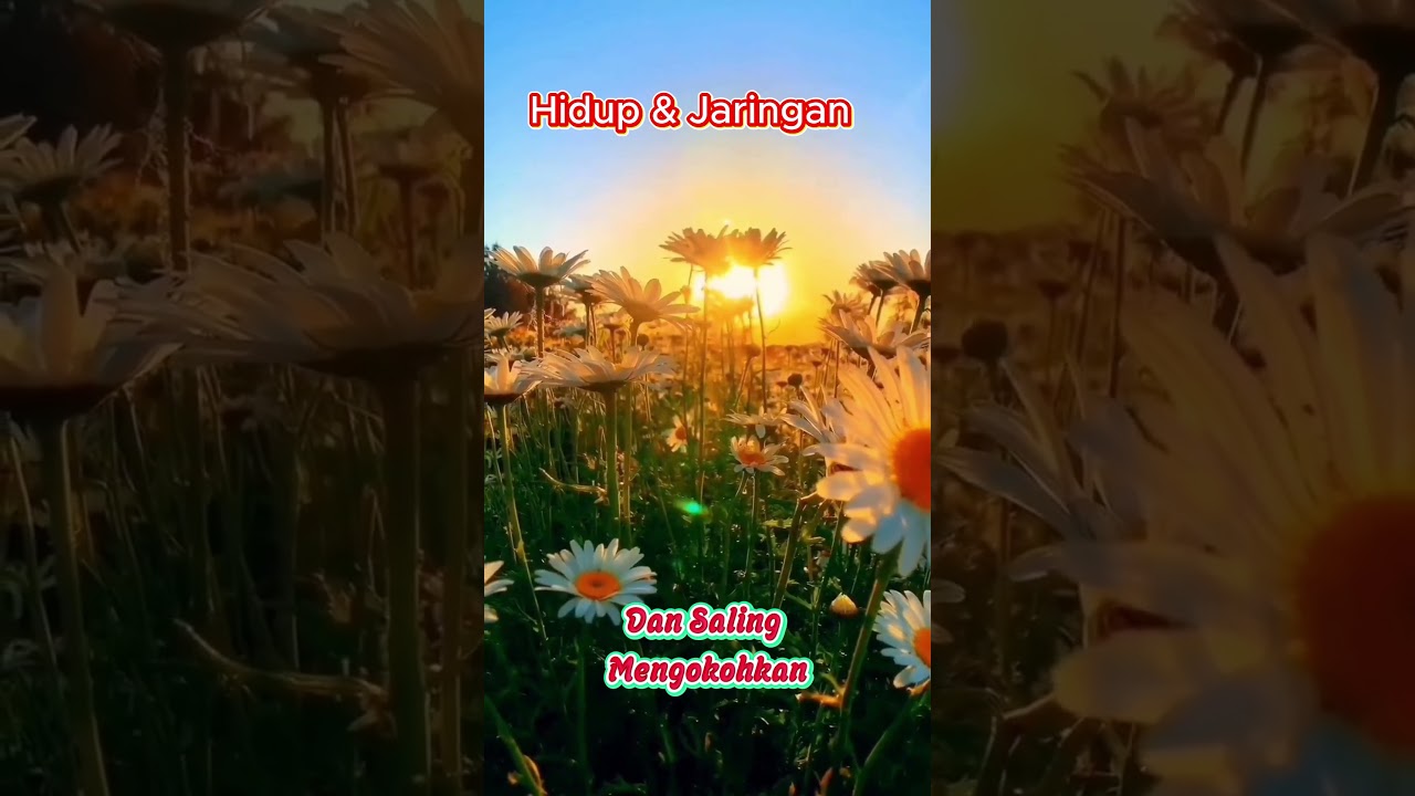 Hidup Dan Jaringan - Jaringan  