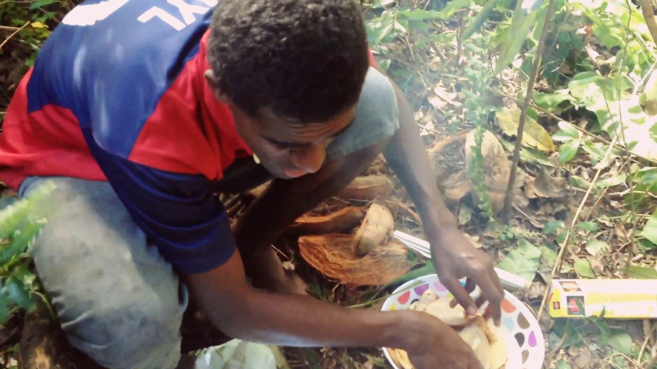 Cuisine en forêt à Wedrumel