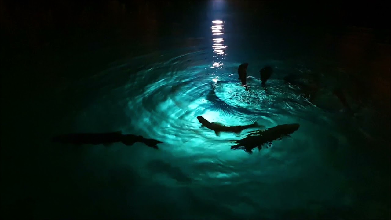 Lac Souterrain de Saint-Léonard, Wallis, Schweiz
