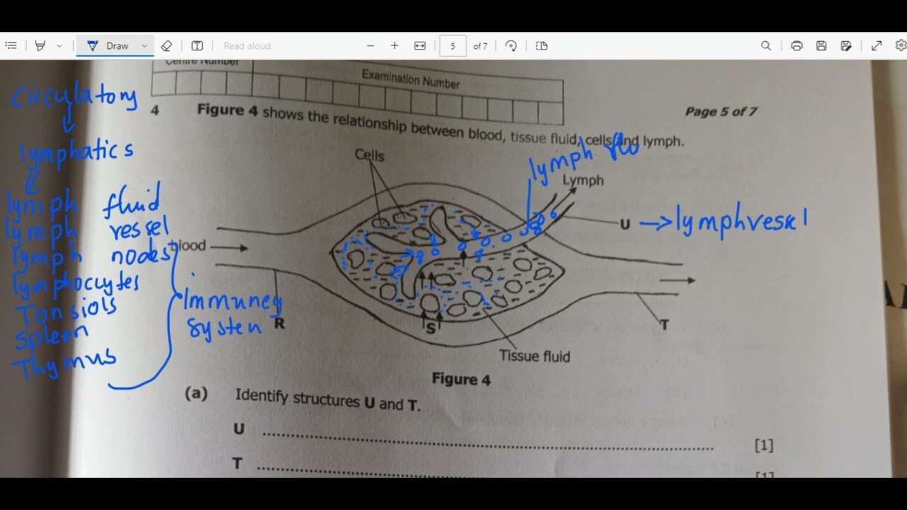 Q4 BIOLOGY PAPER 2 GCE 2023 SECTION A