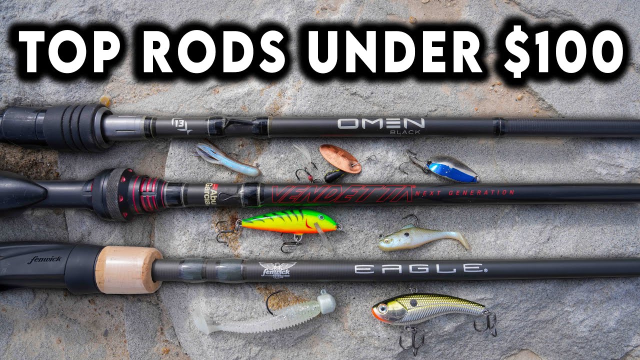 The Top 10 Fishing Rods Under $100! ULTIMATE Buyers Guide
