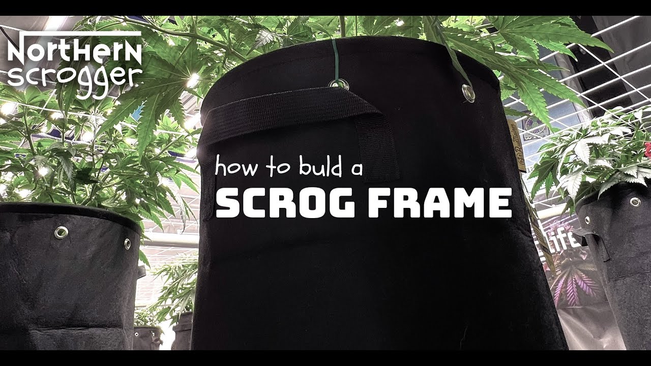 Building a scrog frame out of PVC pipe