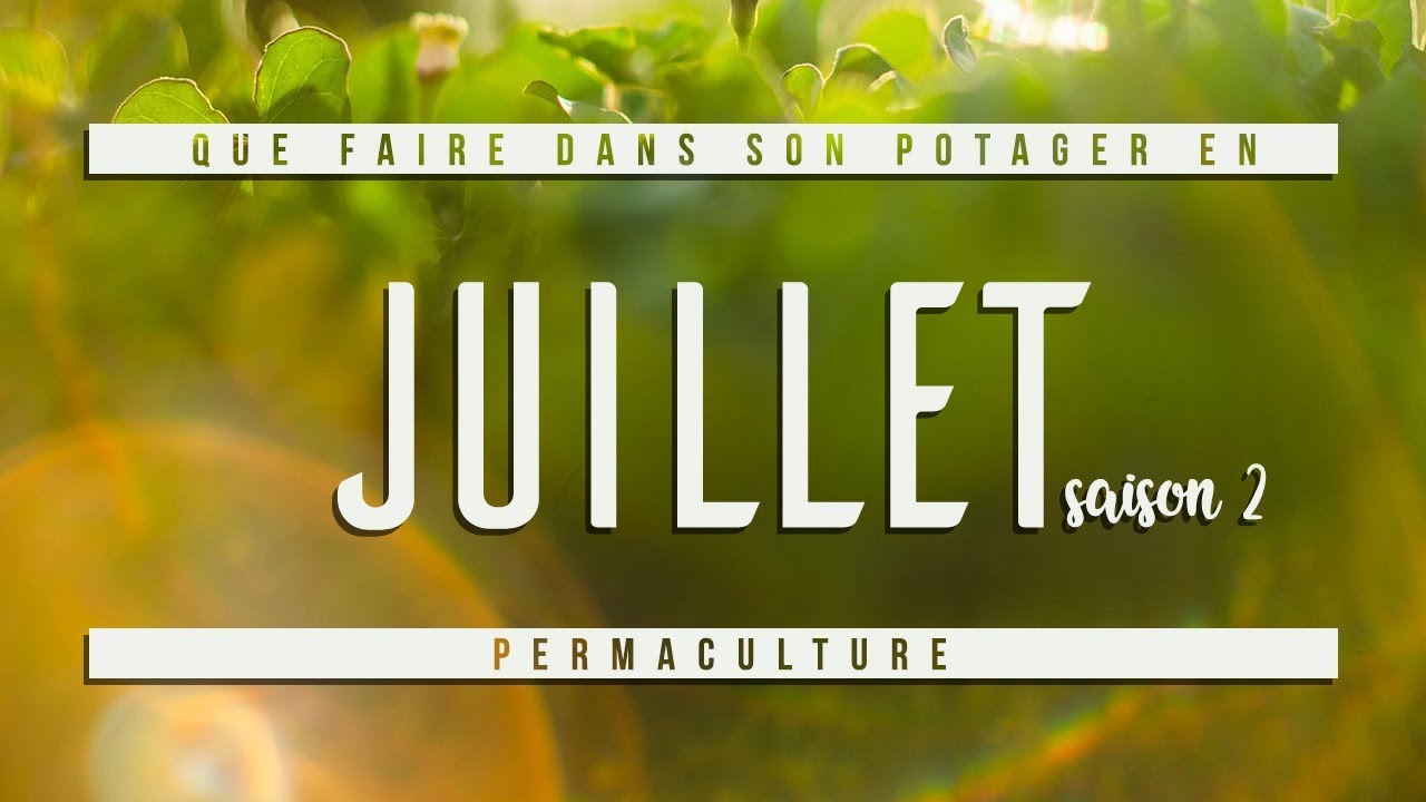 Que faire dans son jardin permaculture en juillet ?