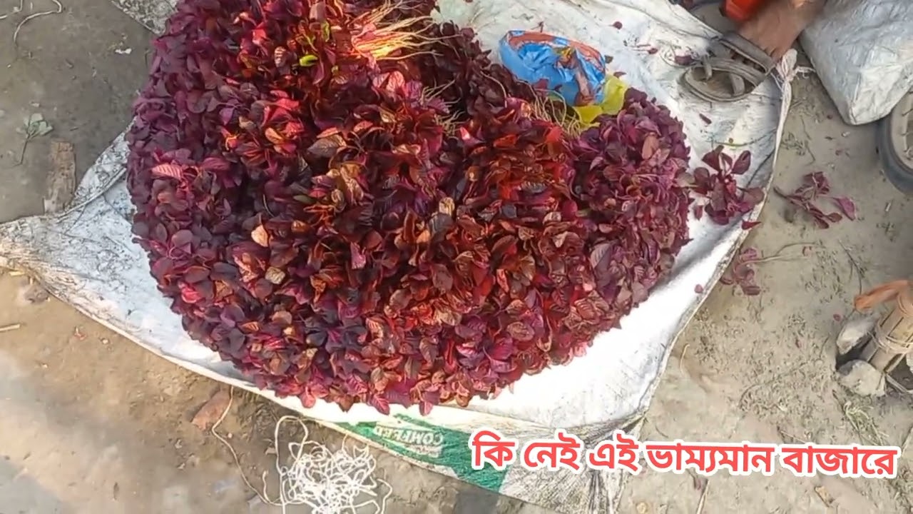 কুষ্টিয়ার আজব বাজার!