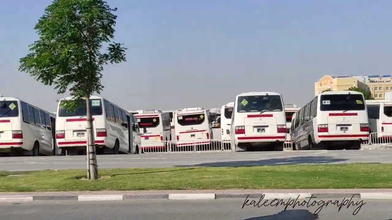 Birla Public School Doha #doha #qatar #students #school #birla #education #schoollife