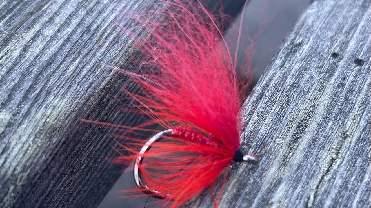 Baltiks lax flugor