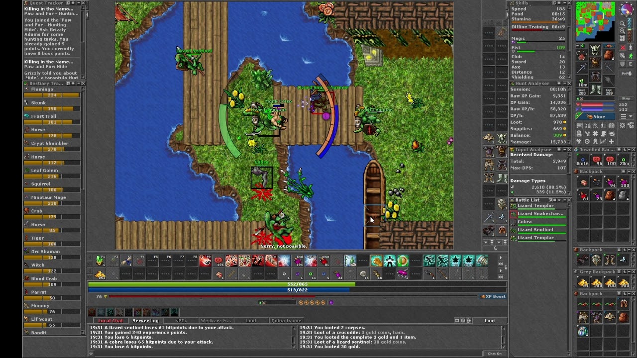 Tibia -