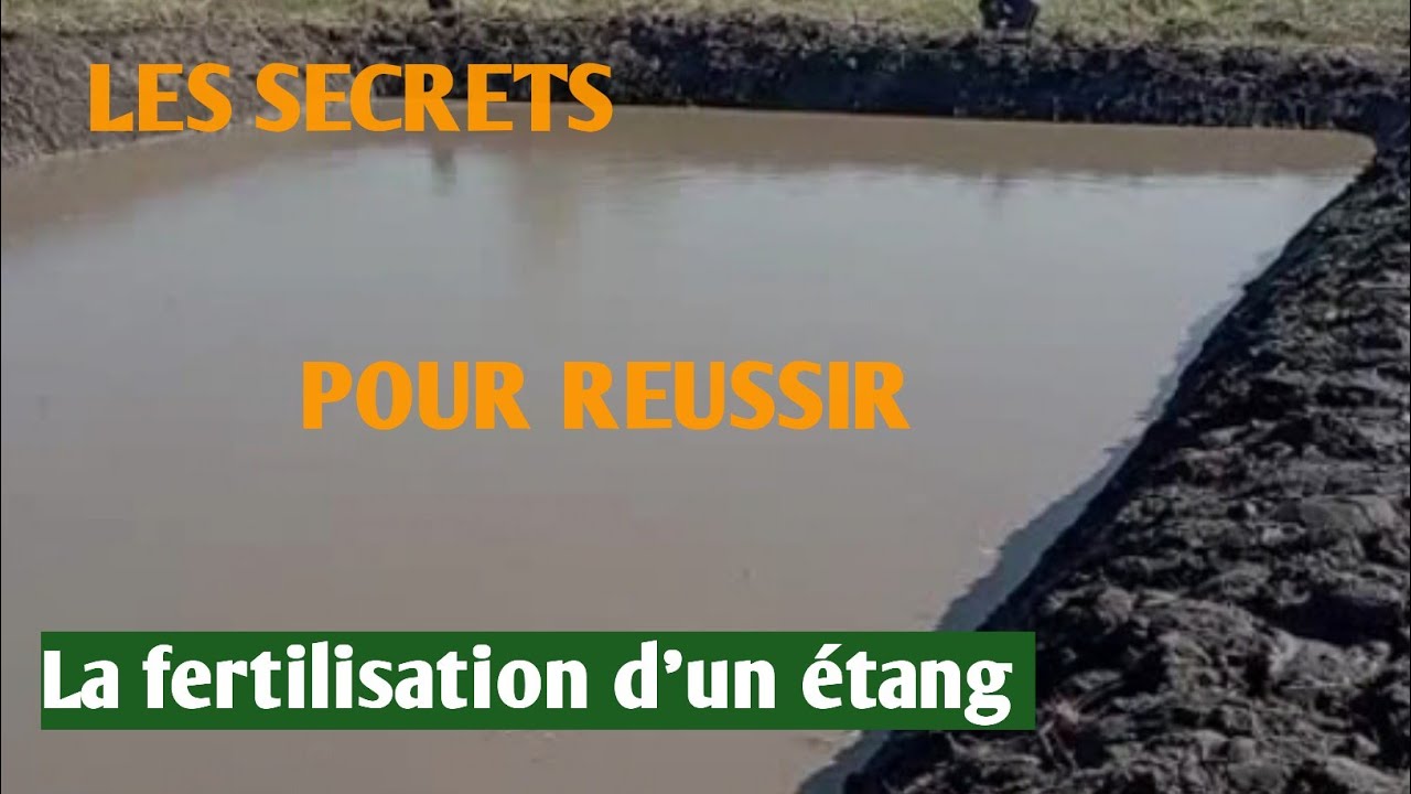 La fertilisation d’un étang : tout ce que doit savoir un pisciculteur