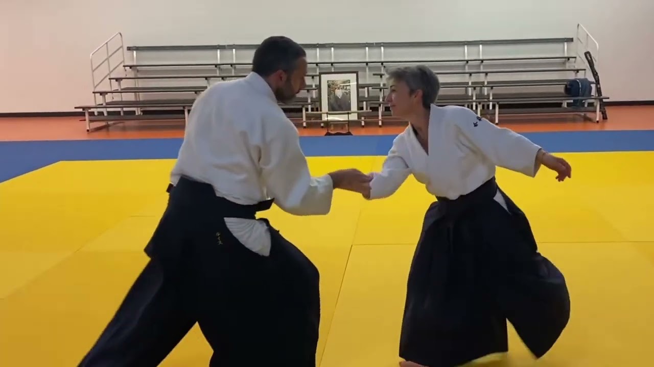 Aikido Luis Mochón.Musubi no kokoro. Curso Ivry-La-Bataille(Francia 2025).Yokomen uchi -jiju waza