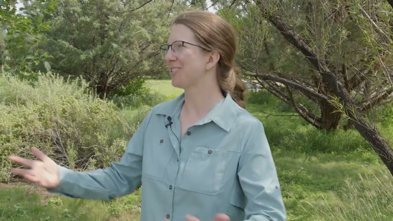 Conservation Innovation Grant: Rangeland Compost Trial