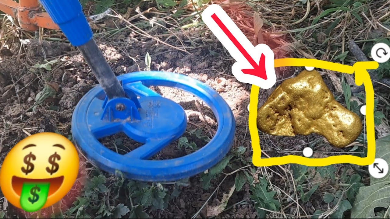 treasure hunting with metal detector