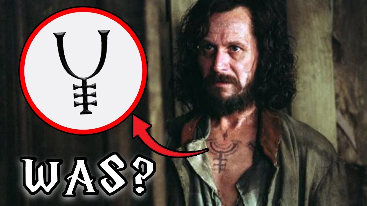 10 Fakten über die Rumtreiber die du DEFINITIV nicht kennst!