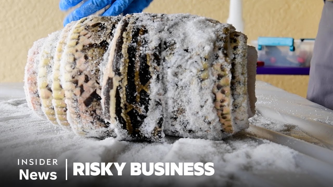 How People Hunt Invasive Pythons And Turn Their Skin Into Leather | Risky Business